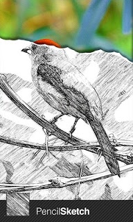 Sketch Guru for PC screenshot 1 Sketch Guru for PC screenshot 1